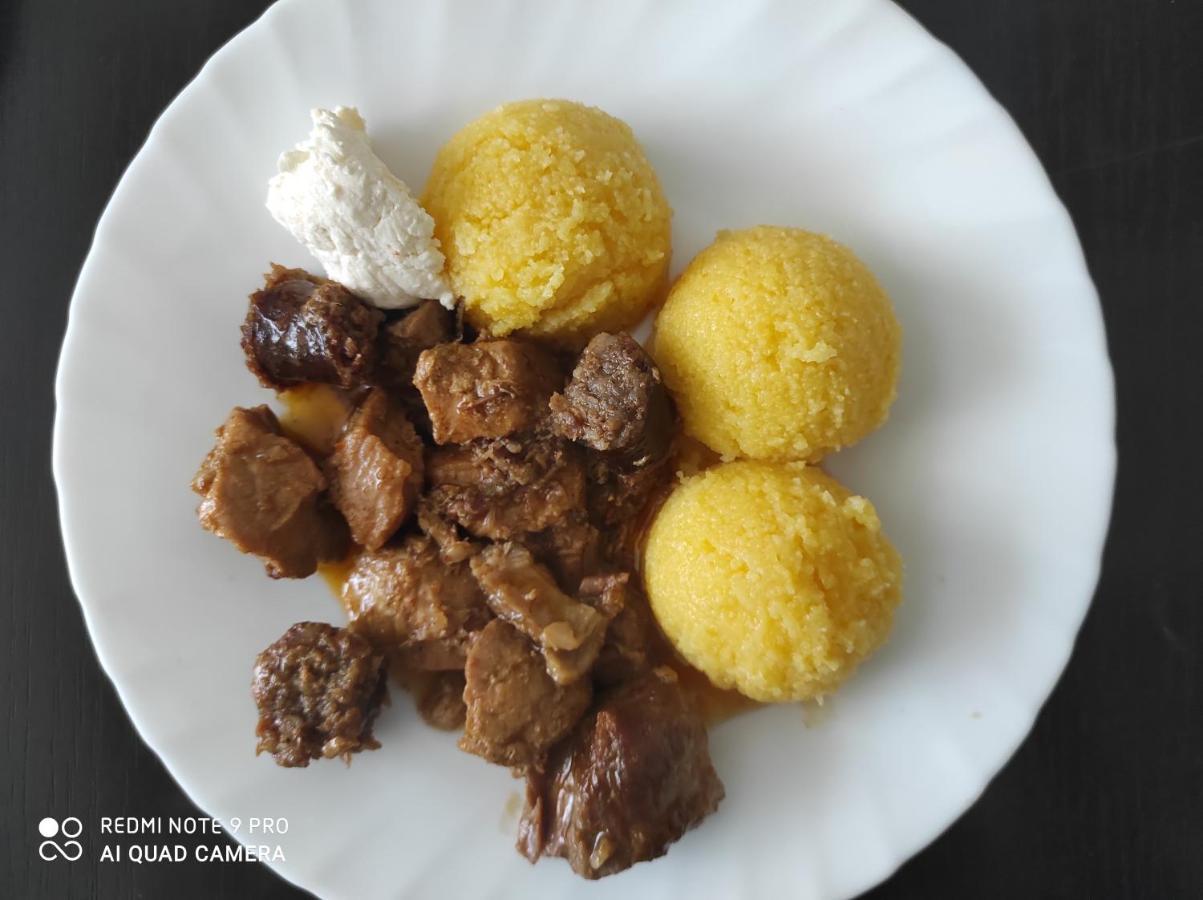 Pensiunea Viorica Fundu Moldovei Luaran gambar