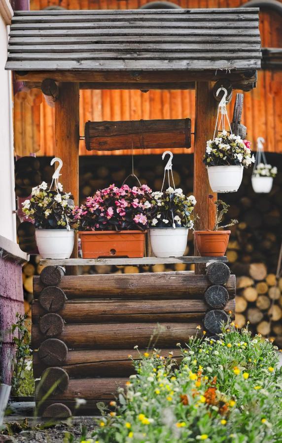 Pensiunea Viorica Fundu Moldovei Luaran gambar