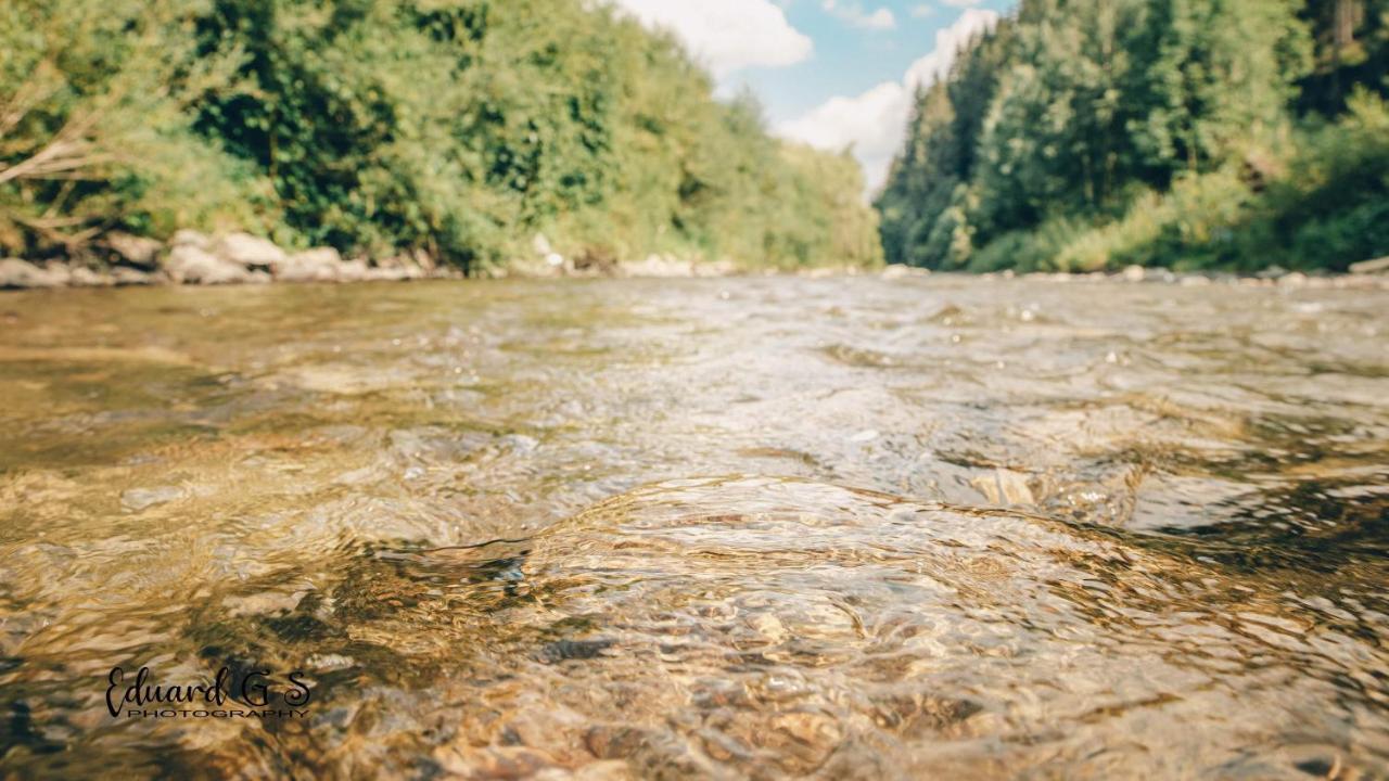 Pensiunea Viorica Fundu Moldovei Luaran gambar