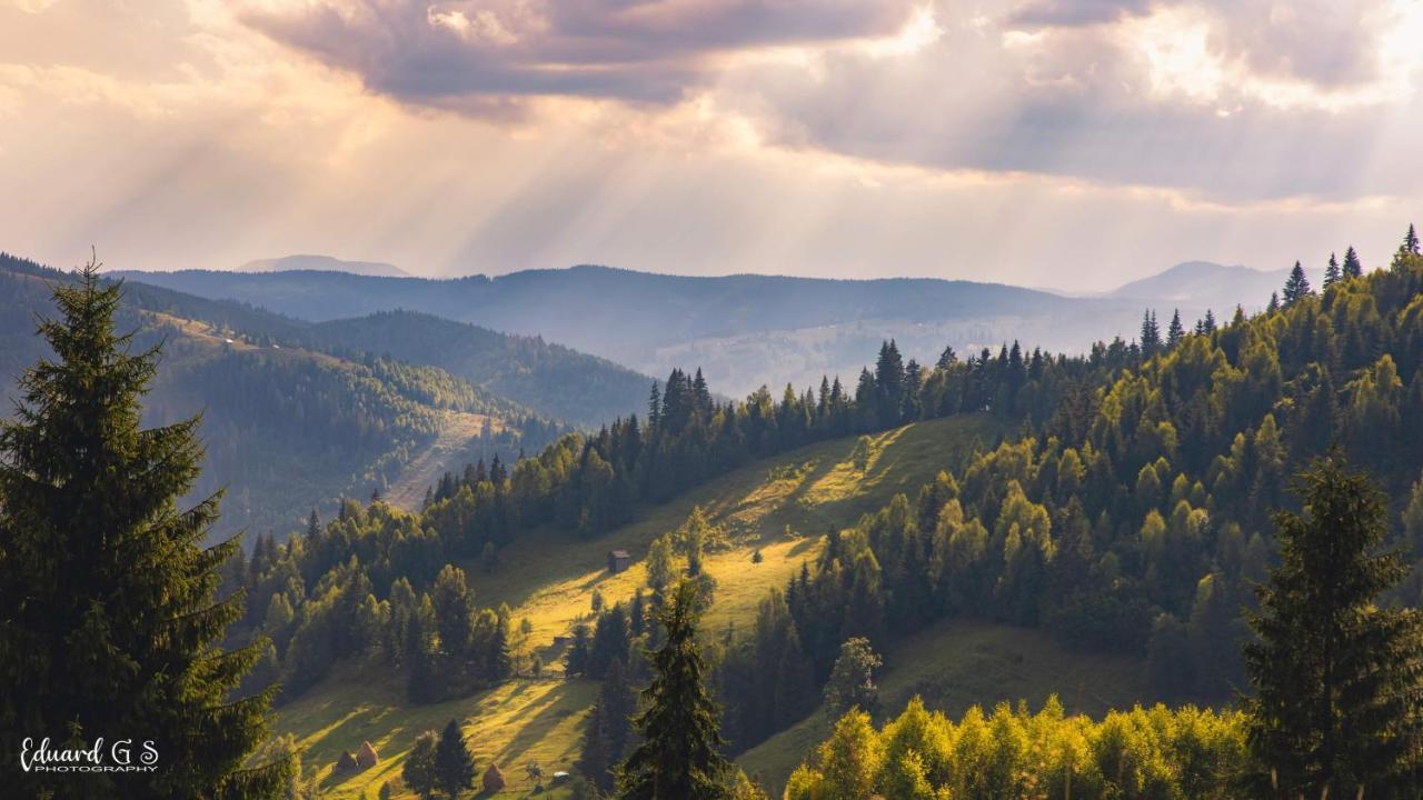 Pensiunea Viorica Fundu Moldovei Luaran gambar